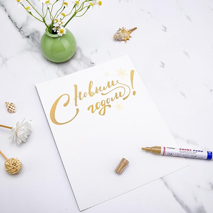 Paint Markers, 12 Pack Oil-Based Waterproof Quick Dry Permanent Paint Pen Set for Rocks Painting, Wood, Fabric, Plastic, Canvas, Glass, Mugs, Metal, Tire, Stone, DIY Craft (Gold)