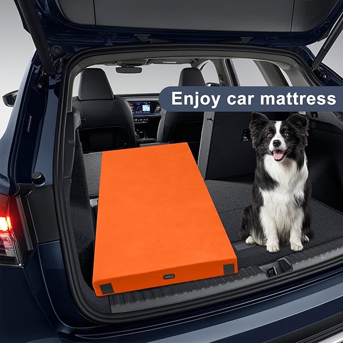 Memory Foam Camping Mattress pad, Comfortable Thick Floor Sleeping Mat for Adults with Waterproof and Non-Slip Bottom, Portable Roll Up Mattress for Sleepover Guest,Cot Mad for Car Camping