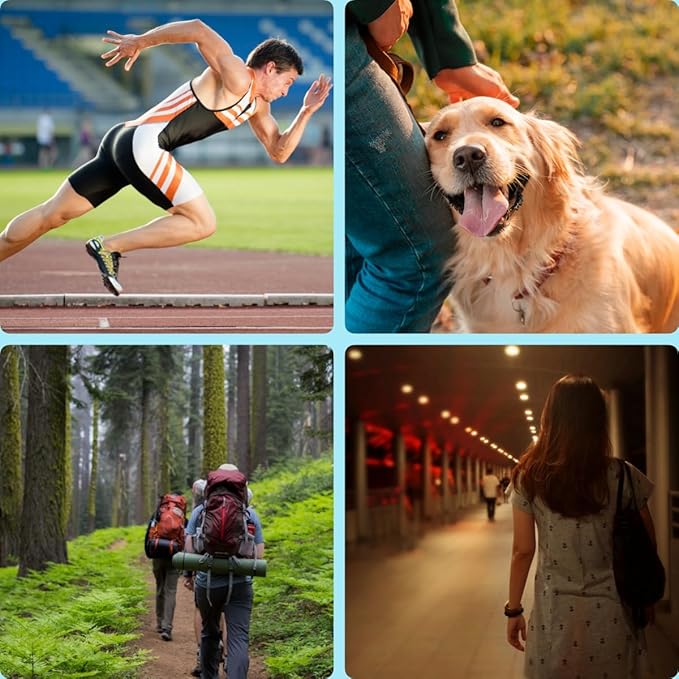 Electronic Whistle, Battery Operated Whistle Adjustable 3 Different Loud Whistle Sounds with Lanyard Handheld Whistles for Referees Coaches Teacher Training/Camping