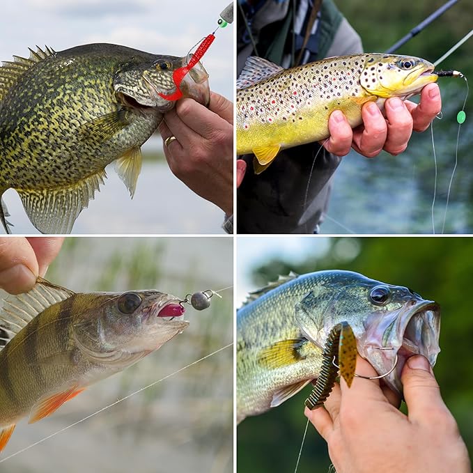 Carolina and Texas Rig Kit, 216pcs Bass Fishing Tackle Kit Bullet Sinkers Hooks Swivels Beads Fishing Tackle Box Accessories