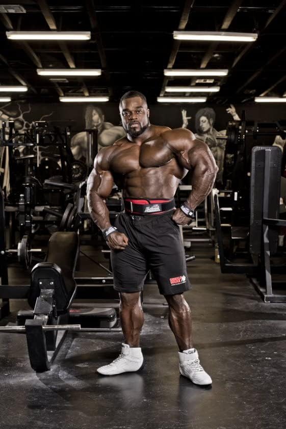 Schiek Sports Model 2004 Nylon 4 3/4" Weight Lifting Belt - Black