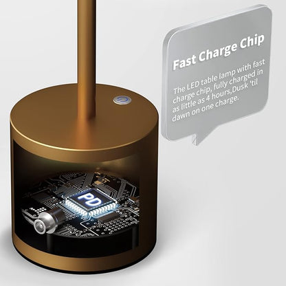 2Pack Cordless Table Lamp, Rechargeable LED Battery 5000mAh Metal USB Portable Powered Desk Lamp, 3 Levels Brightness Light for Restaurants Outdoor (2pack 10.25in Titanium)