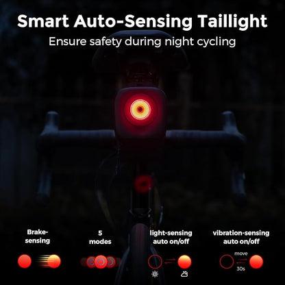 ROCKBROS Bike Saddle Bag with Night Riding Taillight and Brake Sensor- Waterproof Road & Mountain Bike