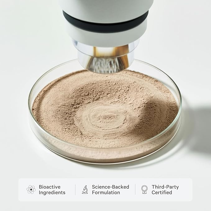 LyfeFuel All-in-One Essentials Nutrition Shake | Complete Meal Replacement Powder | 50+ Superfood Blend, 18g Plant-Based Protein - Chocolate, 24 Servings - 3 Pack