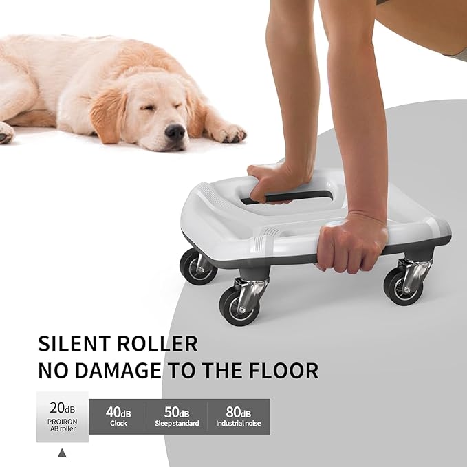 PROIRON Ab Roller with Knee Pads for Abs Workout, Multifunctional Ab Roller Wheel for Abs Workout, Abdominal Roller with Knee Pads, Abdominal Exercises Wheel, Abb Roller (Slide Fitness Trainer)