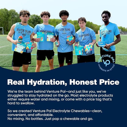 Venture Pal Chewable Electrolyte Tablets, 80 Count Fast-Dissolve Sugar-Free Stick Salt Tablets - Variety Pack for Rapid Hydration, Outdoor Running, Hiking, Sports | Keto & Vegan Friendly | 4 Pack