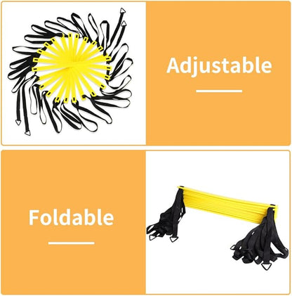 YISSVIC Agility Ladder and Cones 20 Feet 12 Adjustable Rungs Fitness Speed Training Equipment,1 Carry Bags, 10 Cones, 4 Stakes, Basketball, Soccer