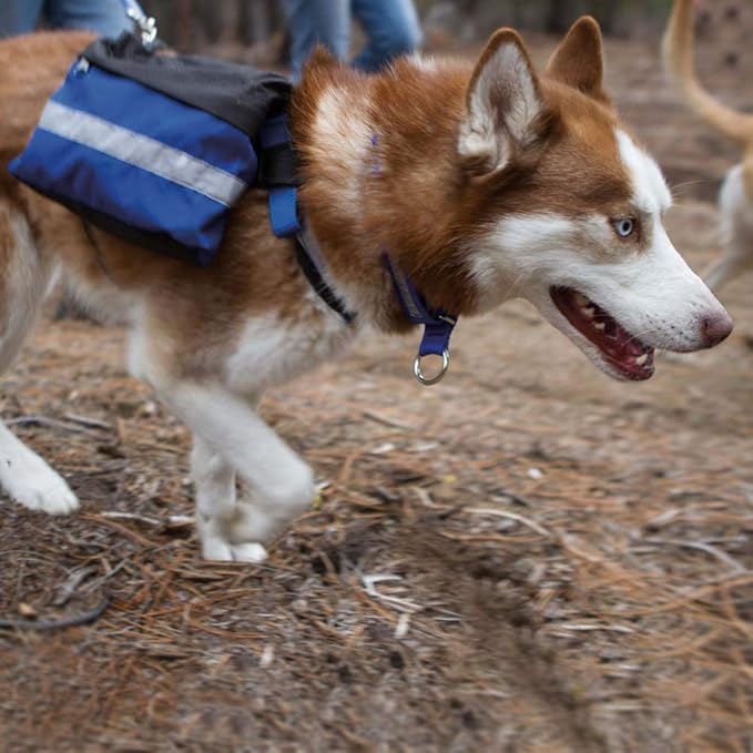 Alpine Outfitters Adventure Trekking Trail Backpack for Dogs. For Use with Urban Trail Harness for Hiking, Walking and Exploring. Handmade in the USA! (Large Blue)