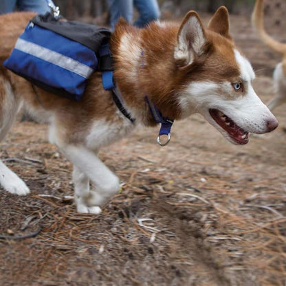Alpine Outfitters Adventure Trekking Trail Backpack for Dogs. For Use with Urban Trail Harness for Hiking, Walking and Exploring. Handmade in the USA! (Large Blue)