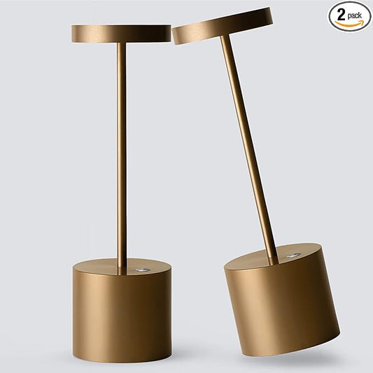 2Pack Cordless Table Lamp, Rechargeable LED Battery 5000mAh Metal USB Portable Powered Desk Lamp, 3 Levels Brightness Light for Restaurants Outdoor (2pack 10.25in Titanium)