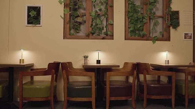 2Pack Cordless Table Lamp, Rechargeable LED Battery 5000mAh Metal USB Portable Powered Desk Lamp, 3 Levels Brightness Light for Restaurants Outdoor (2pack 10.25in Gold)