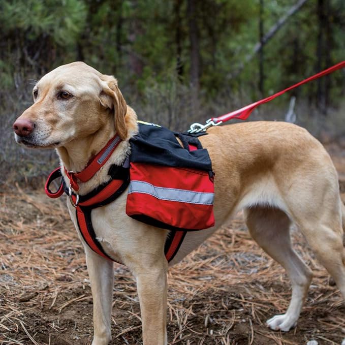 Adventure Trekking Trail Backpack for Dogs. for Use with Urban Trail Harness for Hiking, Walking and Exploring. Handmade in The USA! (Large Red)