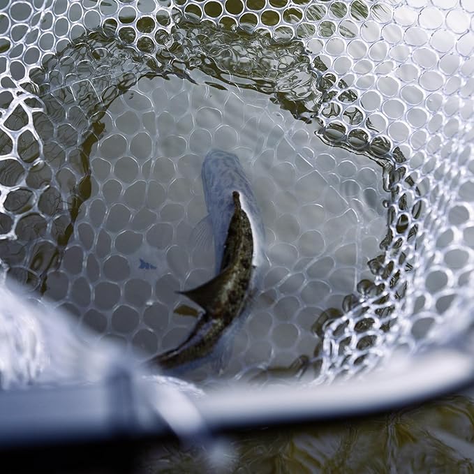 KastKing Brutus Folding Landing Net with Boat Hook, Foldable, Extendable, Lightweight & Strong, Multi-Functional Built-in Boat Hook, Non-Slip & Bright Orange TPR Handle, Two Nets Options