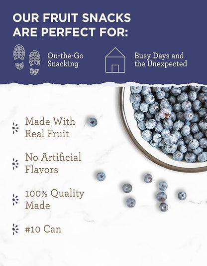 READYWISE - Simple Kitchen Freeze Dried Whole Blueberries, 28 Servings, Vegan, Gluten Free, Fruit Snacks, Emergency Supplies, Dehydrated Fruit, Blueberries