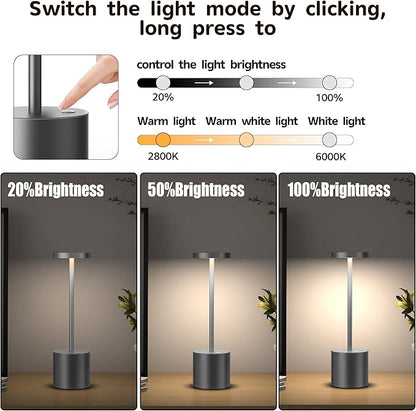 2Pack Cordless Table Lamp, Rechargeable LED Battery 5000mAh Metal USB Portable Powered Desk Lamp, 3 Levels Brightness Light for Restaurants Outdoor (2pack 10.25in Grey)