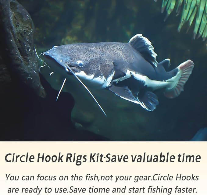 Fishing Hook Rigs 25/50 Pack - Circle Hook 1/0-10/0 with Stainless Steel Leader, Crane Swivel - Heavy Duty Saltwater Rigs for Catfish, Shark, Surf & Bottom Fishing