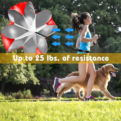 Soccer Speed Agility Training Set - 20FT Agility Ladder 12/16 Sports Cones and Soccer Kick Trainer Football Training Equipment Footwork Drills for Youth and Adults