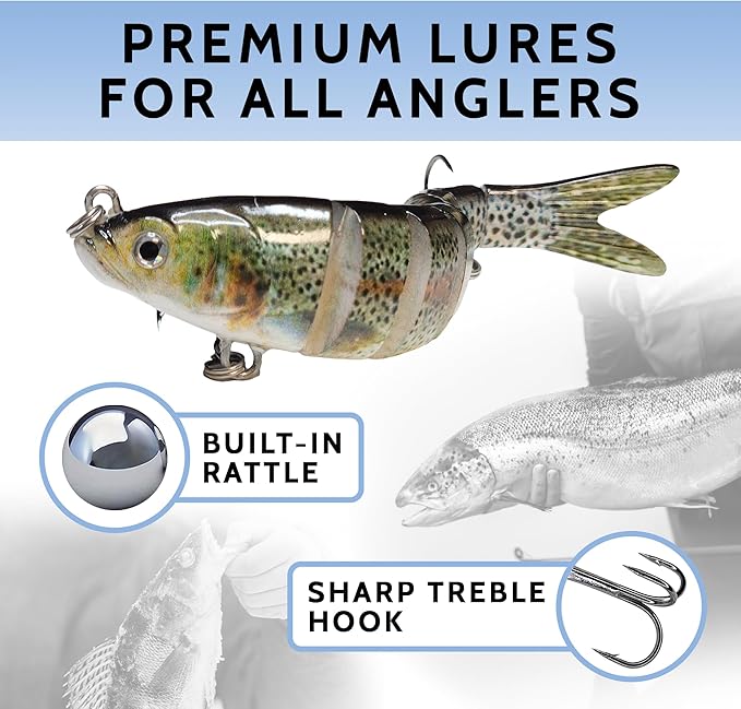 DMSE Fishing Lures for Bass Trout Crappie, Lifelike Swimbait Soft Plastic Baits with 3D Realistic Eyes, Slow Sinking Action for Freshwater and Saltwater Fishing Gifts for Men