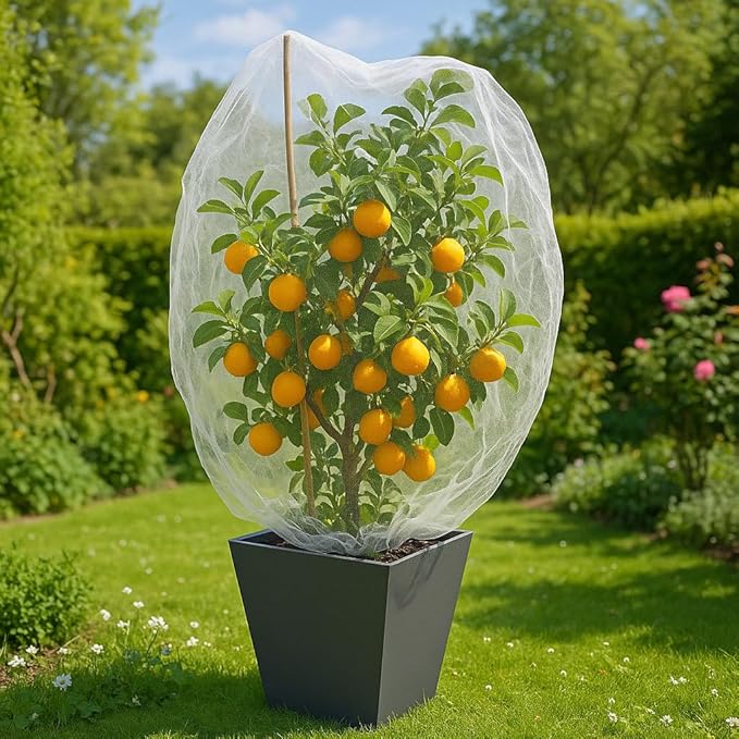 Fruit Tree Protection Bags 4x4.5 FT in 4 Pack | Multiple Size Garden Netting for Fruit & Vegetable Protection | White Plant Net Cover for Blueberry & Tomato | Bird & Insect Mesh Fabric Protector
