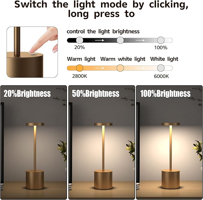 2Pack Cordless Table Lamp, Rechargeable LED Battery 5000mAh Metal USB Portable Powered Desk Lamp, 3 Levels Brightness Light for Restaurants Outdoor (2pack 10.25in Titanium)