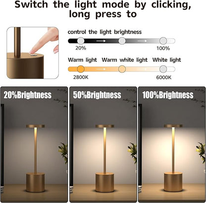 2Pack Cordless Table Lamp, Rechargeable LED Battery 5000mAh Metal USB Portable Powered Desk Lamp, 3 Levels Brightness Light for Restaurants Outdoor (2pack 10.25in Titanium)