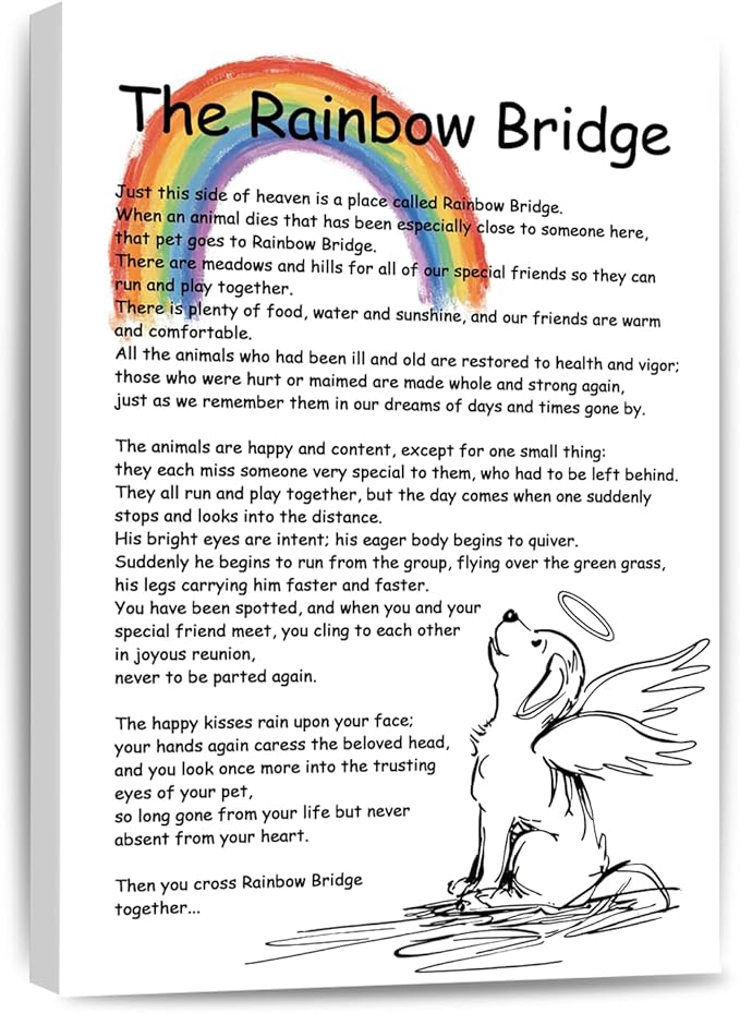Rainbow Bridge Poem Canvas Wall Art As Bereavement Gifts for Loss of Pet Poster Decor Modern Inspirational Quotes Pictures Poetry Prints Framed 16 * 24 Inch