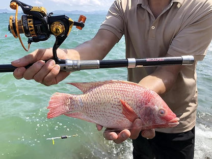 Telescopic Fishing Rod and Reel Combination, 240 Cm Carbon Fiber Rod, Adult Foldable Fishing Rod Suitable for Freshwater and Salt Water