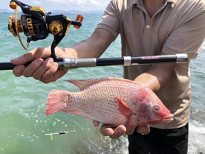 Telescopic Fishing Rod and Reel Combination, 240 Cm Carbon Fiber Rod, Adult Foldable Fishing Rod Suitable for Freshwater and Salt Water