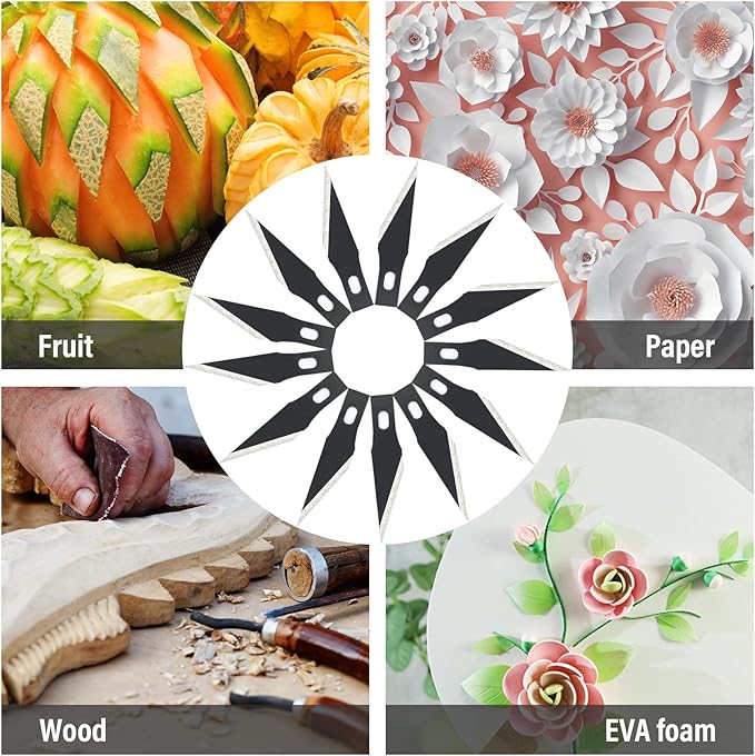 EHDIS Precision Craft Knife Blades 11# Knife Blades Refill Hobby Art Blades Cutting Tool with Storage Case for Craft, Hobby, Scrapbooking, Stencil (100)