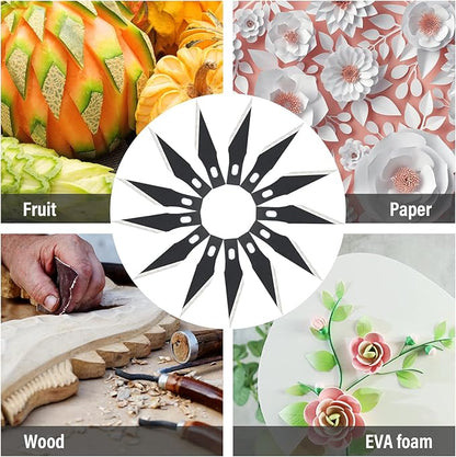 EHDIS Precision Craft Knife Blades 11# Knife Blades Refill Hobby Art Blades Cutting Tool with Storage Case for Craft, Hobby, Scrapbooking, Stencil (100)