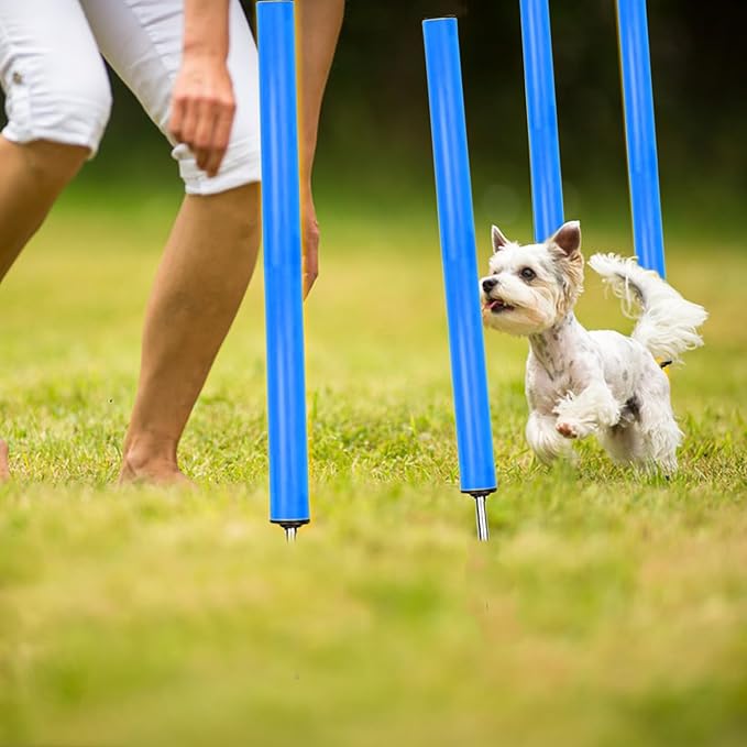 Agility Ladder Training Poles Equipment, Soccer Training Equipment-20ft Speed Ladder, 6 Agility Poles, 8 Soccer Cones for Training Football Basketball Rugby Training Equipment for Kids Youth Adults