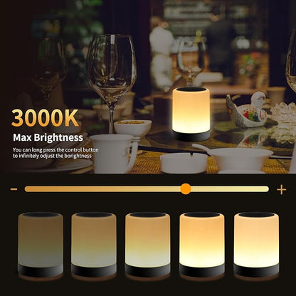 OORUN Touch Bedside Table Lamp,13 RGB Colors & 5 Brightness, USB Rechargeable Desk Lamp, Remote Control Dimmable Night Light with RGB Color Changing,Portable Lamp for Baby (2 Pack Black)