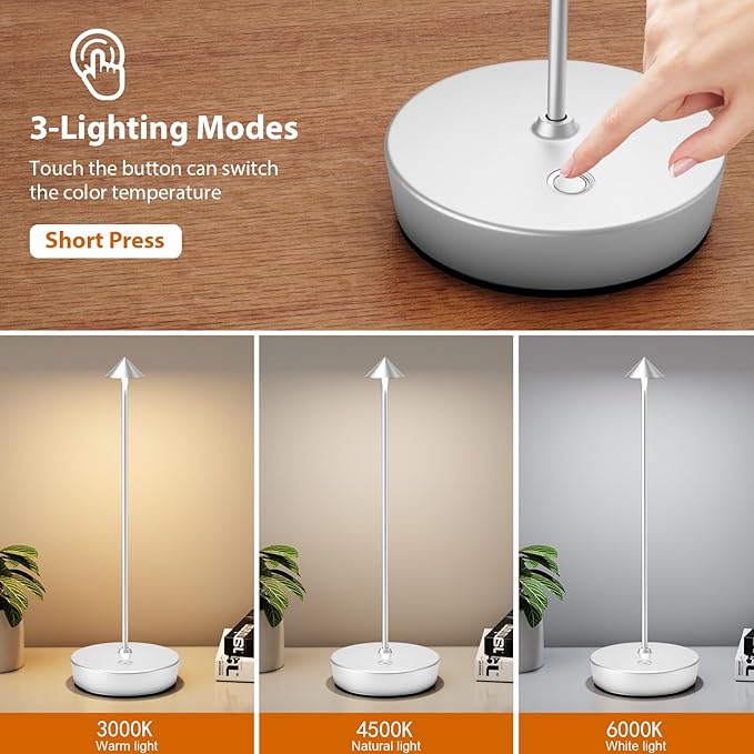 2Pack Rechargeable Cordless Table Lamp, Portable Powered LED Battery 6000mAh Metal USB Desk Lamp, 3 Levels Brightness Light for Restaurants Outdoor (2pack Silver)