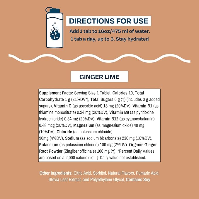 Drinklits Ginger Lime Electrolyte Tablets for Hydration | Great Taste - 0g Sugar - Essential Electrolytes - Daily Use | Single Tube (10 Tablets/Servings)
