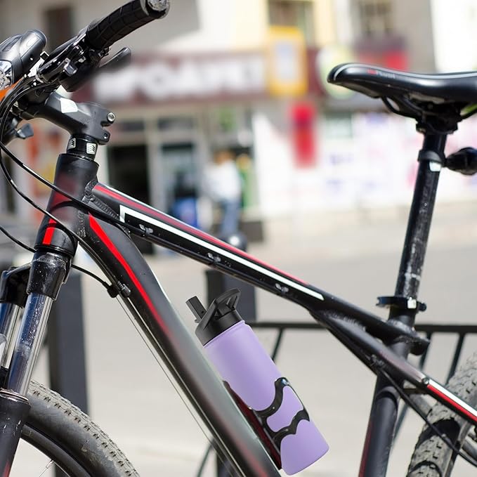 DOMICARE Insulated Water Bottle, 22 oz Vacuum Insulated Stainless Steel Reusable Sports Bottle with Straw Lid & Spout Lid for Travel, Camping, Bike, Leakproof, Purple, 1 Pack