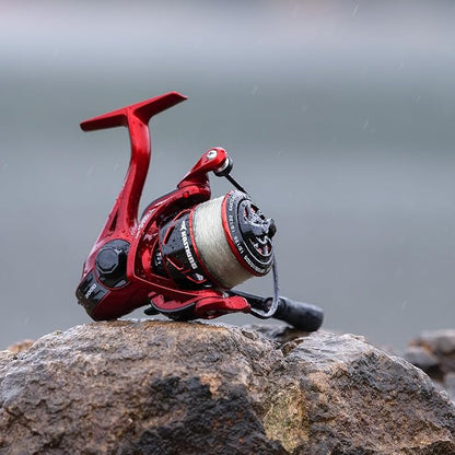 KastKing Royale Legend Fishing Reel - 5.2:1/6.2:1 Gear Ratio Spinning Reel, Up to 22 Lbs of Carbon Drag, 5+1/7+1 Stainless Steel Ball Bearings, Graphite Frame, Asymmetric Spinning Reel Rotor Design