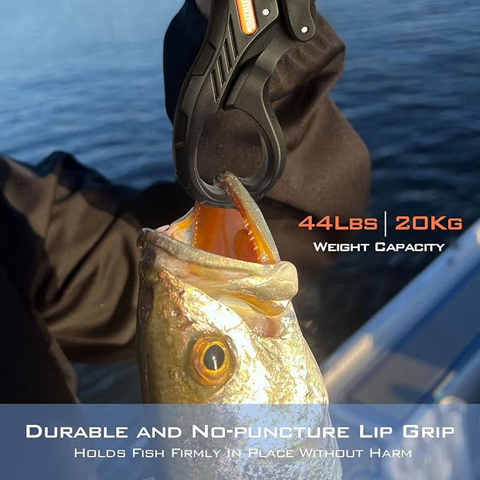 KastKing Brutus Fishing Net, Foldable Extendable Fish Landing Net, Lightweight & Portable Fishing Net with Soft EVA Foam Handle, Holds up to 44lbs/20KG, Fish-Friendly Mesh for a Safe Release