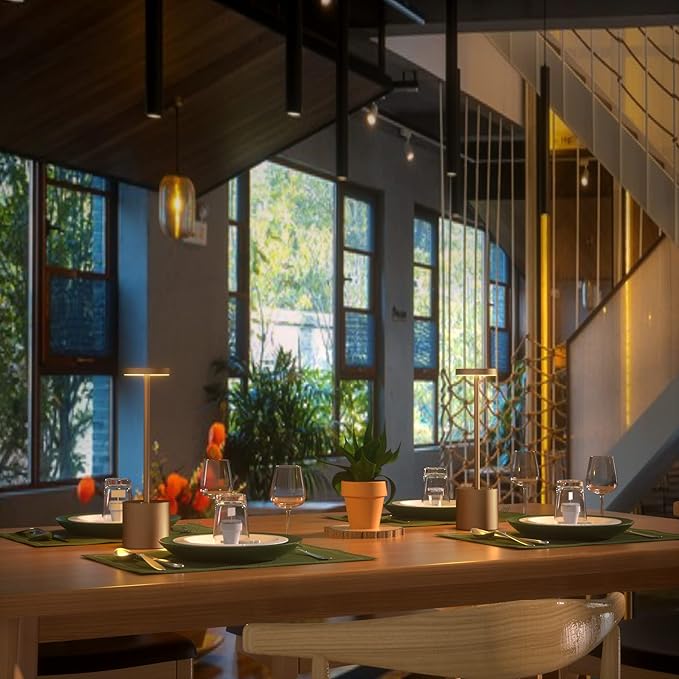 2Pack Cordless Table Lamp, Rechargeable LED Battery 5000mAh Metal USB Portable Powered Desk Lamp, 3 Levels Brightness Light for Restaurants Outdoor (2pack 10.25in Titanium)