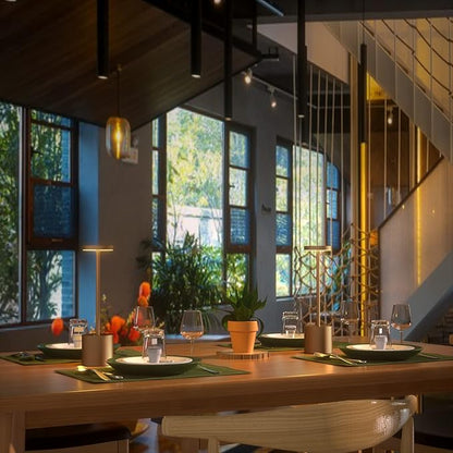 2Pack Cordless Table Lamp, Rechargeable LED Battery 5000mAh Metal USB Portable Powered Desk Lamp, 3 Levels Brightness Light for Restaurants Outdoor (2pack 10.25in Titanium)