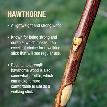 Brazos Rustic Wood Walking Stick, Hawthorn, Traditional Style Handle, for Men & Women, Made in The USA