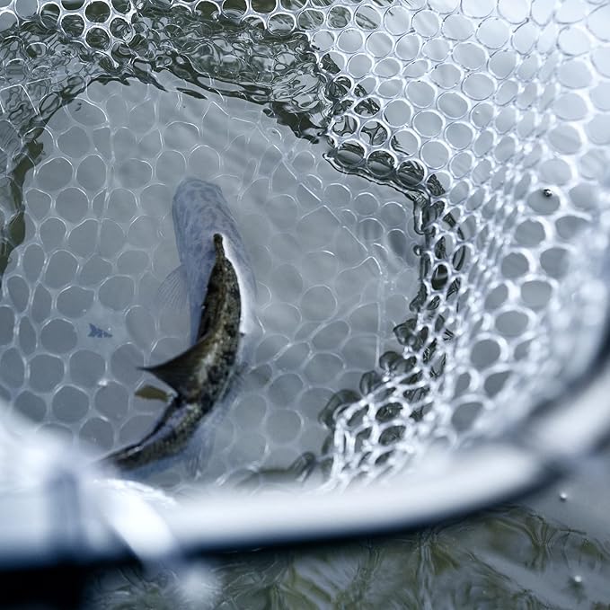 KastKing Brutus Fishing Net, Foldable Extendable Fish Landing Net, Lightweight & Portable Fishing Net with Soft EVA Foam Handle, Holds up to 44lbs/20KG, Fish-Friendly Mesh for a Safe Release