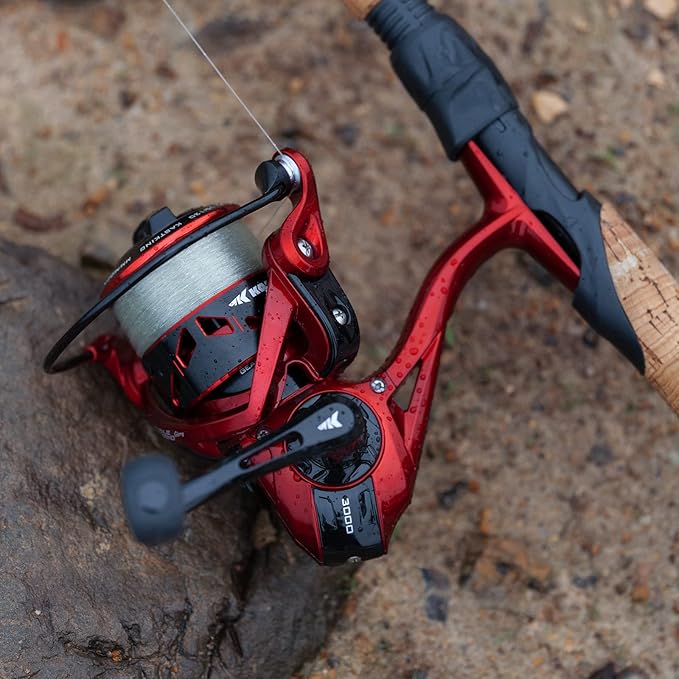 KastKing Royale Legend Fishing Reel - 5.2:1/6.2:1 Gear Ratio Spinning Reel, Up to 22 Lbs of Carbon Drag, 5+1/7+1 Stainless Steel Ball Bearings, Graphite Frame, Asymmetric Spinning Reel Rotor Design