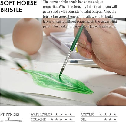 ARTIFY 41 Pieces Long Handle Paint Brushes, Expert Series, Hog Bristle, Horse Hair and Nylon Hairs Art Set Includes a Carrying Canvas Roll, for Acrylic, Oil, Watercolor and Gouache