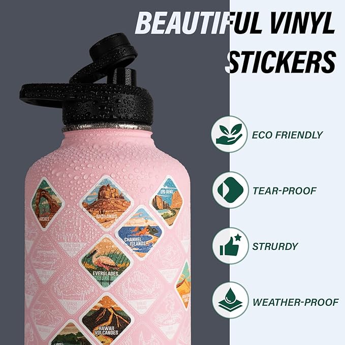 Insulated Water Bottle | Thickened Stainless Steel Vacuum Metal | Portable Sports Half Gallon Large Water Jug for Gym and Hiking with Straw, Carrier Bag, Handle Strap | BPA-Free 64 oz