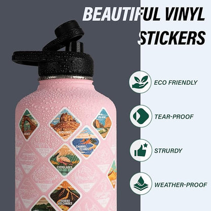 Insulated Water Bottle | Thickened Stainless Steel Vacuum Metal | Portable Sports Half Gallon Large Water Jug for Gym and Hiking with Straw, Carrier Bag, Handle Strap | BPA-Free 64 oz