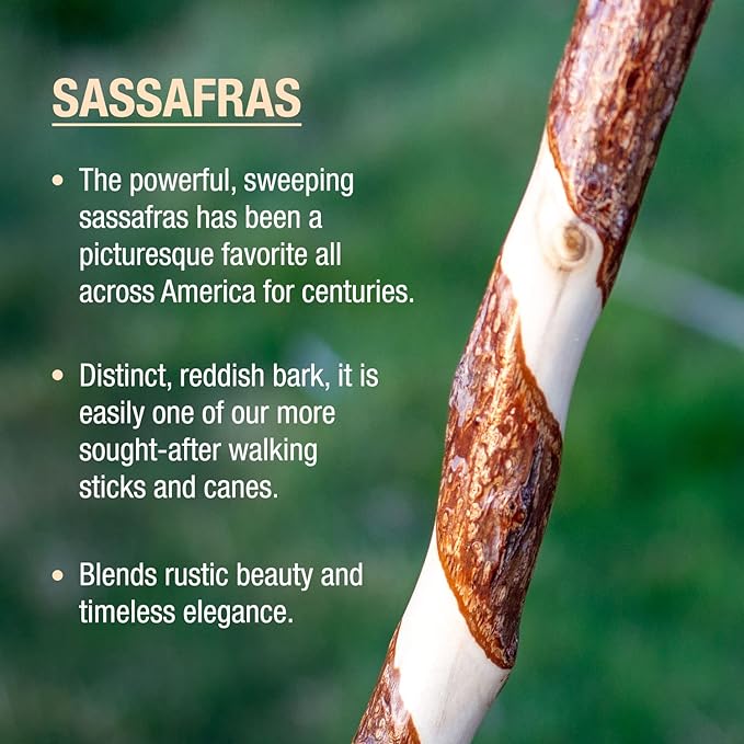 Brazos Rustic Wood Walking Stick, Twisted Sassafras, Traditional Style Handle, for Men & Women, Made in The USA