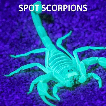 Mini UV LED Keychain Flashlight, Compact 395nm UV Blacklight, Portable Pocket UV Flashlight for Detecting Stains, Scorpions, and Fluorescent Elements - 6 Pack, Purple