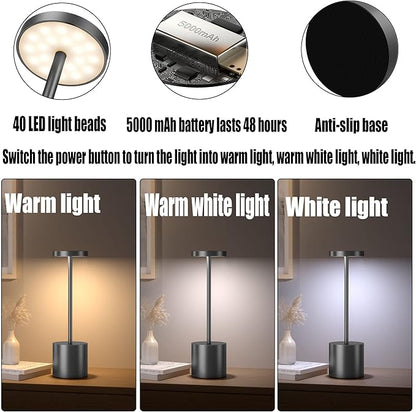 2Pack Cordless Table Lamp, Rechargeable LED Battery 5000mAh Metal USB Portable Powered Desk Lamp, 3 Levels Brightness Light for Restaurants Outdoor (2pack 10.25in Grey)