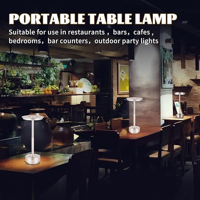 Rechargeable Cordless LED Table Lamps Touch Sensor Light, 3-Levels Portable Dimming Wireless Battery Operated Lamp，Nightstand Lamp/Night Light/Restaurant Table/Outdoor/Coffee/Bar (Silver)