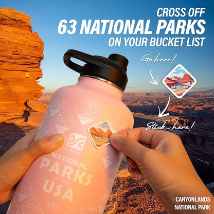 Insulated Water Bottle | Thickened Stainless Steel Vacuum Metal | Portable Sports Half Gallon Large Water Jug for Gym and Hiking with Straw, Carrier Bag, Handle Strap | BPA-Free 64 oz